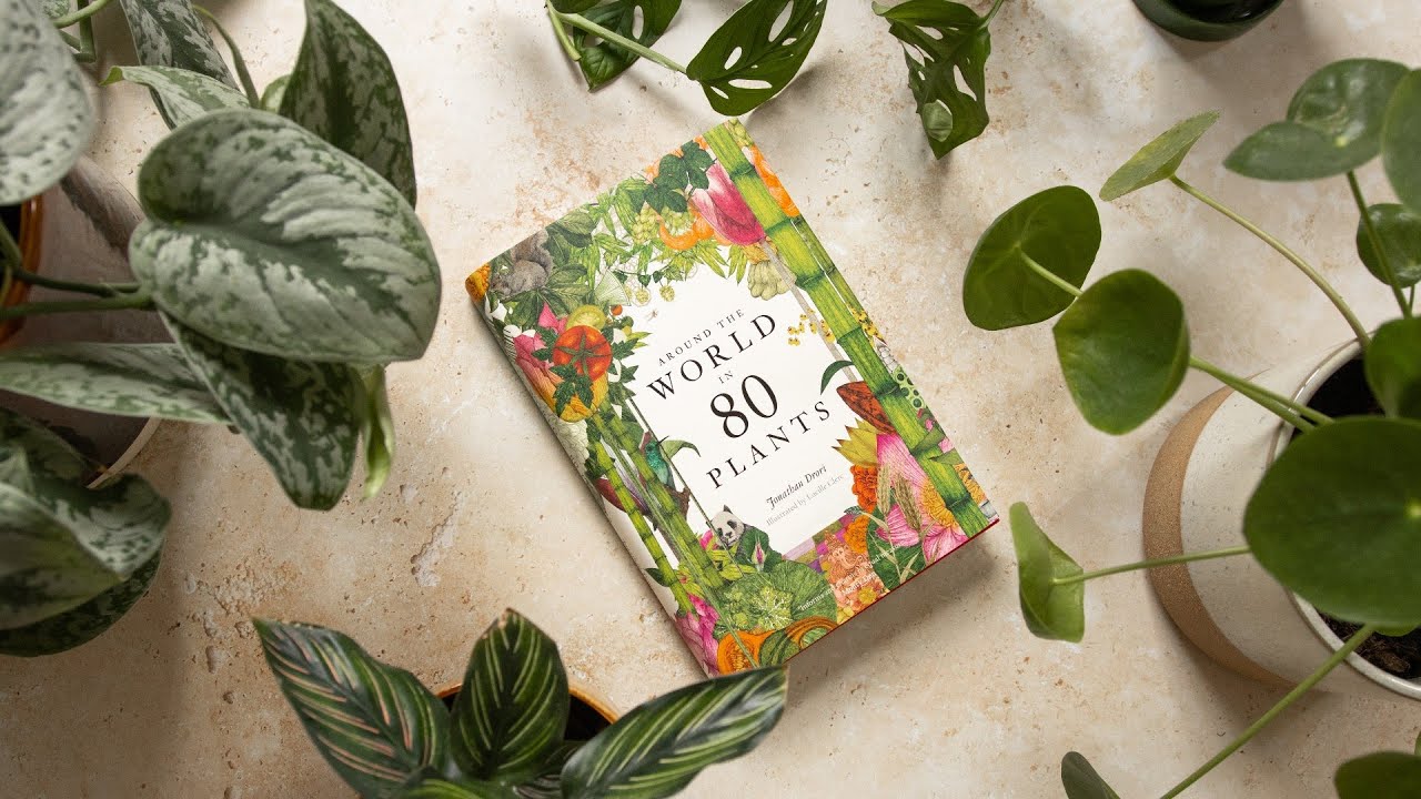 Libro 'Around The World In 80 Plants' - Viaggio Botanico Tra Piante E Culture - Foto 2