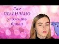 Как правильно уложить брови