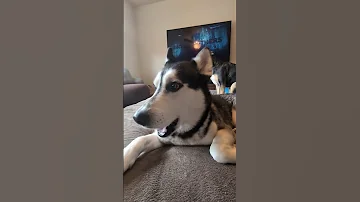 Dakota Practicing Saying I Love You 