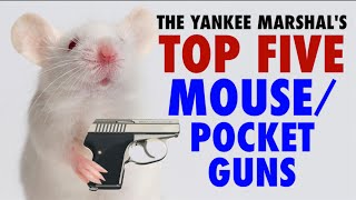 TOP FIVE Mouse/Pocket Guns