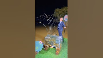 Câu cá bè câu ngâm cá chép, cá ngát, cá nheo ban đêm cảm giác #fishing #shorts