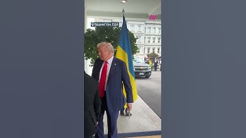 Трамп встречает Зеленского в Вашингтоне