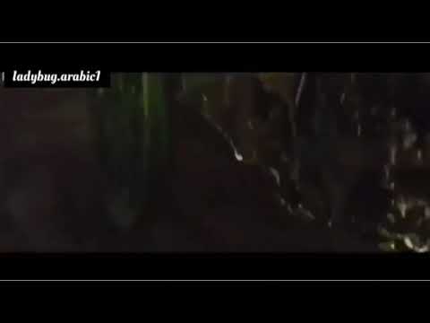 ماشي ف طريق من كام سنه