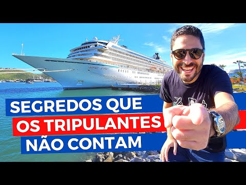 Vídeo: Viajantes Solo, aqui está sua chance de fazer um cruzeiro pela metade do preço para a Antártida