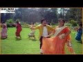 Ammayi Ammayi Video Song || Praja Rajyam Movie || Krishna,Jayapradha || Shalimarcinema