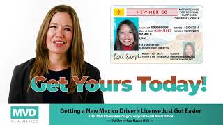 New Mexico Standard Driver's License