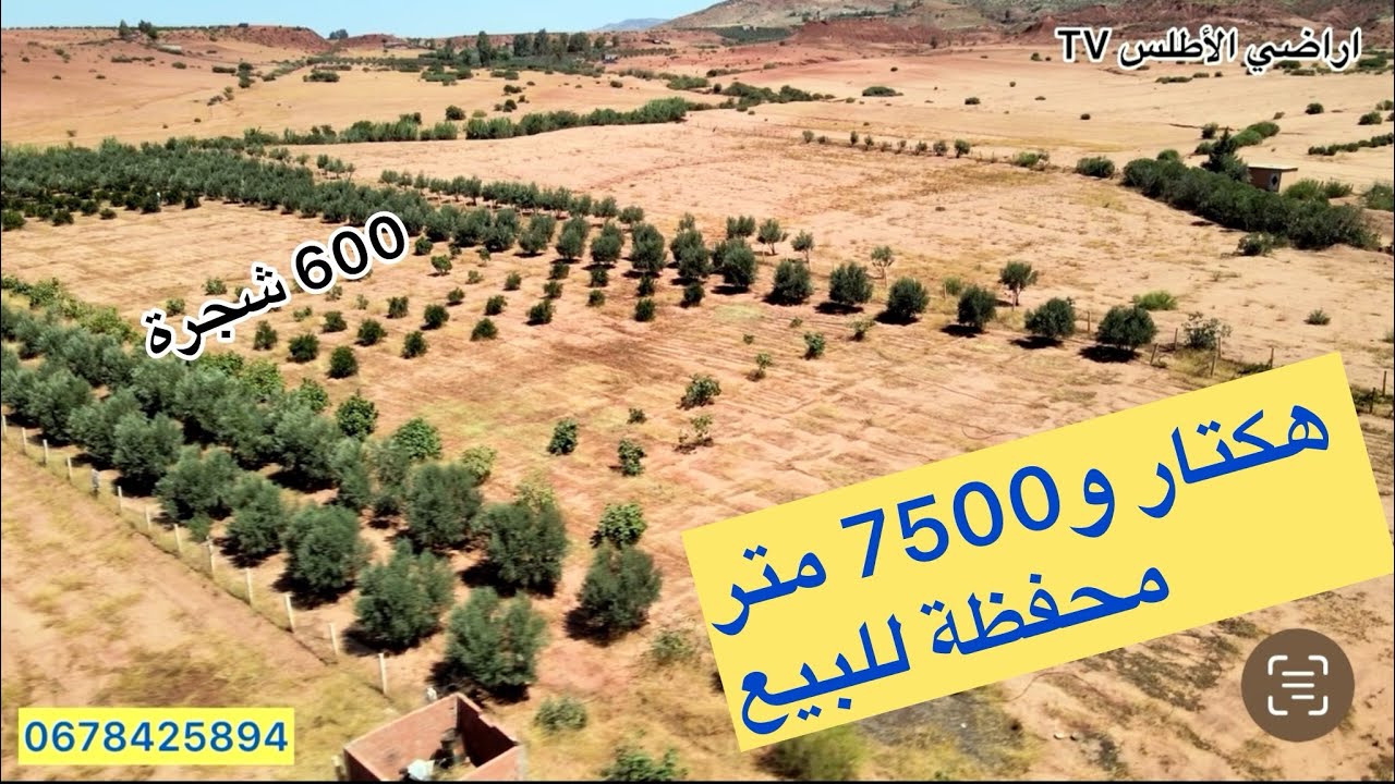 ارض محفظة للبيع هكتار و7500 متر 600 من الأشجار الماء والكهرباء وعلى الطريق المعبد تمن 60 مليون 