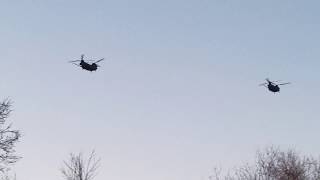 Famous Chinook Fly-Over Profile