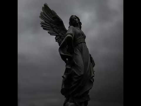 ABSENT HAVEN