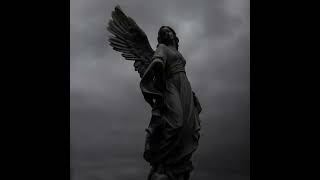 ABSENT HAVEN