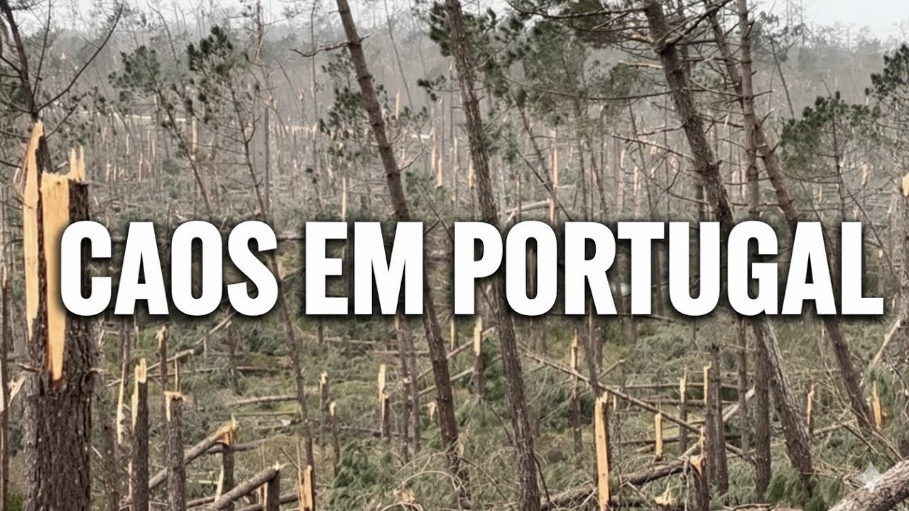 O Impacto Assustador da Tempestade Kristin em Leiria – Uma Natureza Implacável