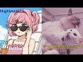 VIDEOS RANDOM #29| VIDEOS DE RISA| MEMES COMPILATION | SI TE RIES PIERDES | SHITPOST |