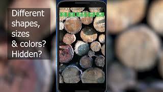 Wood Watcher 2 - Automatically Measure Wood Logs - Demo Multiple Use Cases screenshot 3