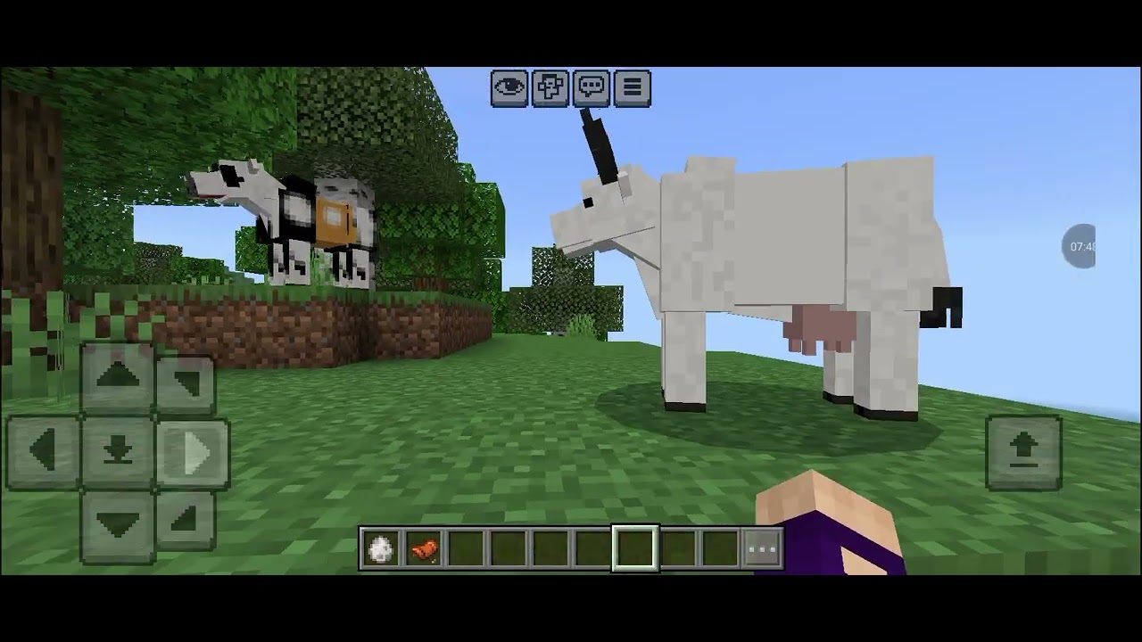 Mostrando o novo Addon