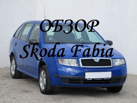 плюсы и минусы skoda fabia