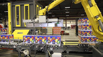 RPC-MX Robotic Palletizer - Boxes of Chips