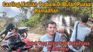 Tidak Di Sangka..!! Lokasi kecil ikan gabus bar-bar || Buka Puasa Di Alam Liar Butuh Yang Segaarrrr