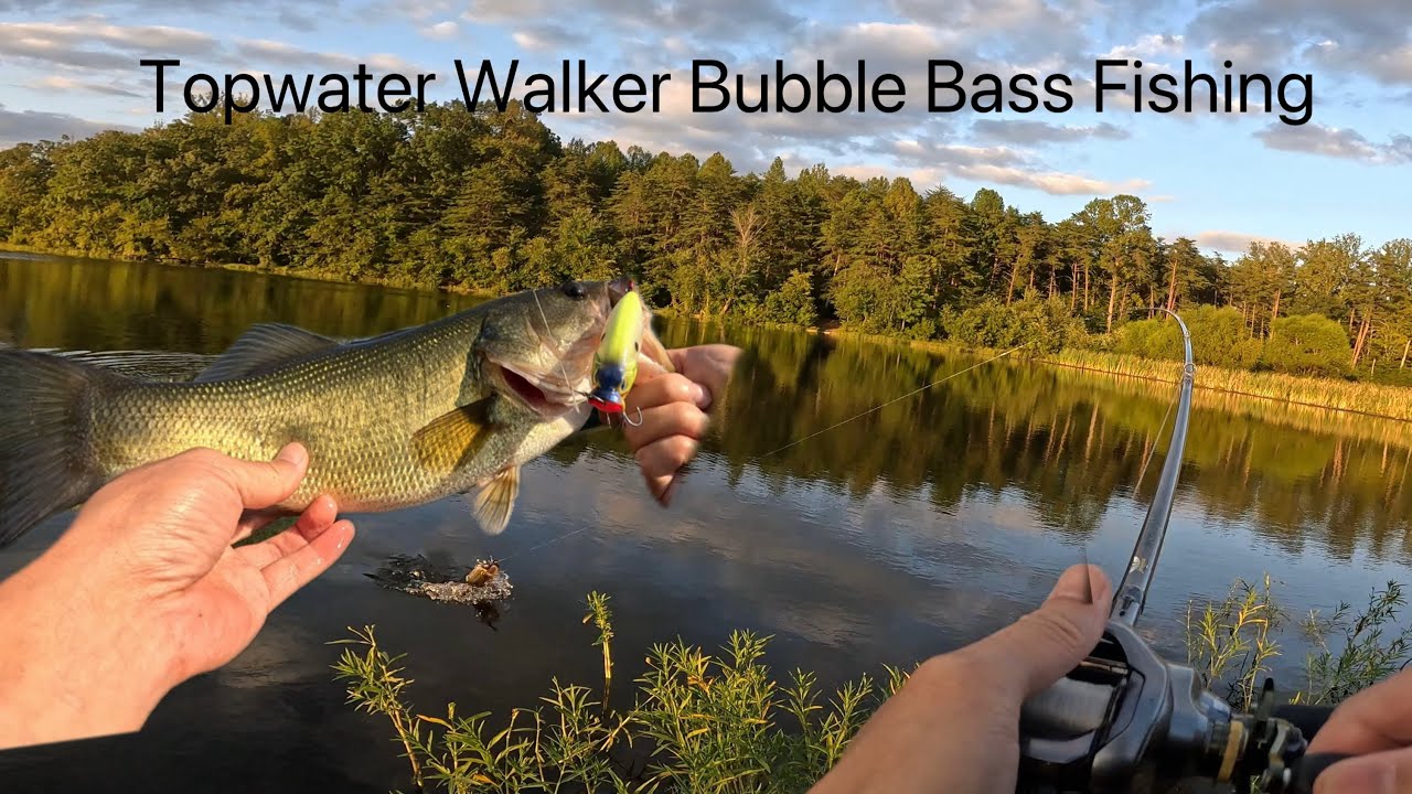 Topwater Walker Bubble Bass Fishing