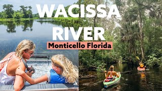 INCREDIBLE adventures down the Wacissa River, Fl (airboat and kayak)