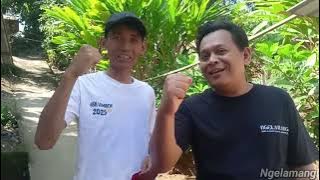 Ngelamang is back,,!! LLA Milad Desa Midang ke 105.