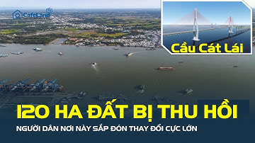 120 ha đất bị THU HỒI làm cầu Cát Lái, người dân nơi này sắp đón THAY ĐỔI CỰC LỚN | CafeLand
