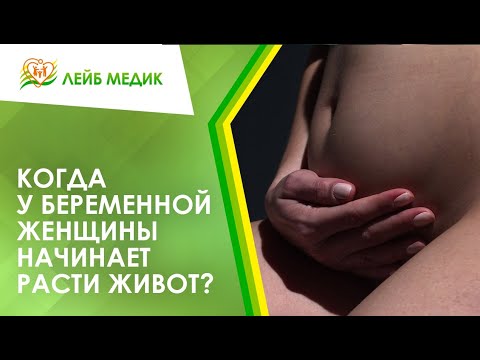 🤰 Когда у беременной женщины начинает расти живот? - YouTube