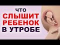 Как слышит голос мамы, музыку и звуки ребенок в животе у беременной?