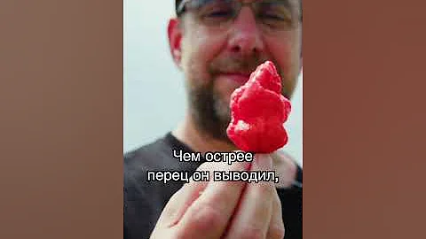 Самый острый перец в мире