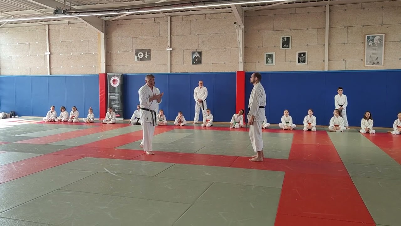 Apprendre à se préserver, se déplacer : Stage Yamato kan karaté-do Shotokai enfants du 5 mai 2024