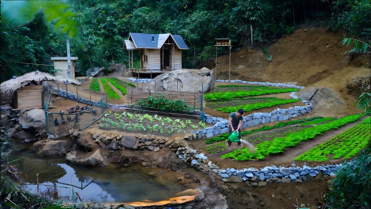 1 Year Off The Grid: Building a Dream - A Sustainable Off-Grid Cabin in the Woods