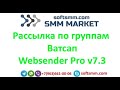 ✅Рассылка по группам Ватсап WA SENDER PRO v7 3