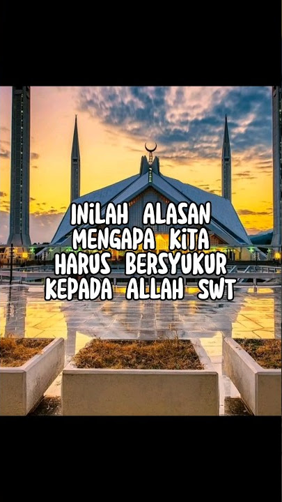Inilah Alasan Mengapa Kita Harus Bersyukur Kepada Allah SWT #shorts #short #shortvideo