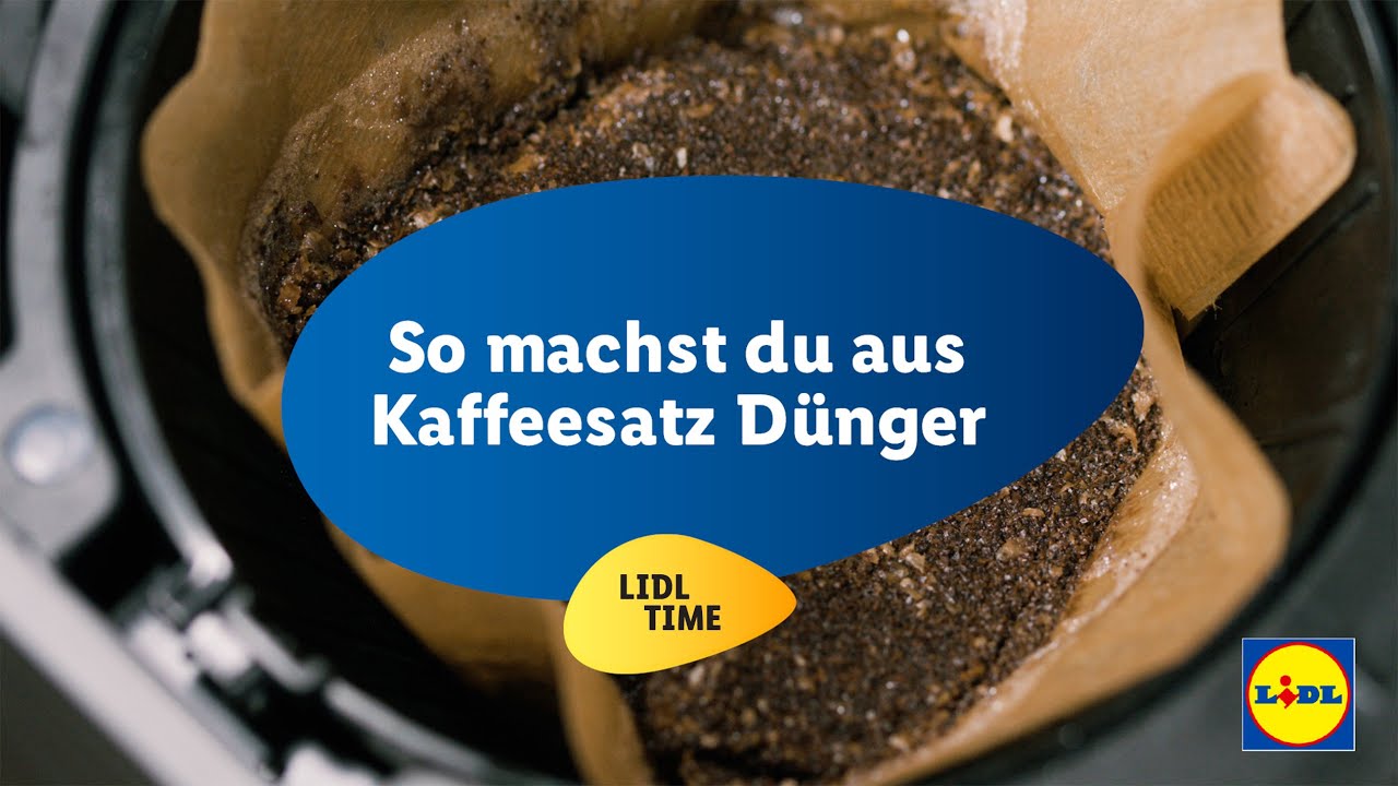 Mit kaffeesatz dngen: So machst du aus Kaffeesatz Dnger | Lidl Time