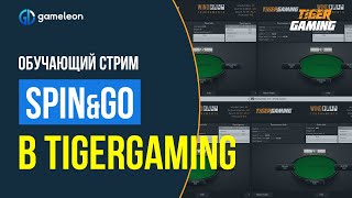 Обучающий стрим по Spin&amp;Go. Играем WindFall турниры в TigerGaming