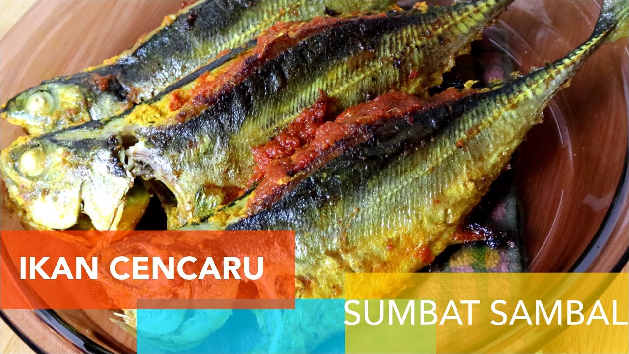 Resepi ikan cencaru sumbat sambal - YouTube