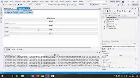Multiview ve Panel Kullanımı (Visual Studio C# )