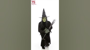 00449 | 00459 - "WITCH HALF FACE FOAM LATEX MASK WITH HAIR"