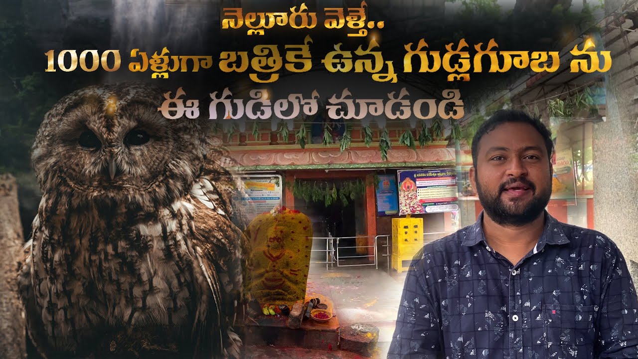 నెల్లూరు వెళ్తే 1000 ఏళ్లుగా బ్రతికే ఉన్న గుడ్లగూబను చూడండి | Nellore Irukalala Parameswari Temple