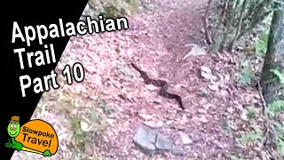 Rattlesnake on the AT - Appalachian Trail Part 10