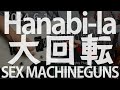 SEX MACHINEGUNS Hanabi-la大回転 ギターソロ