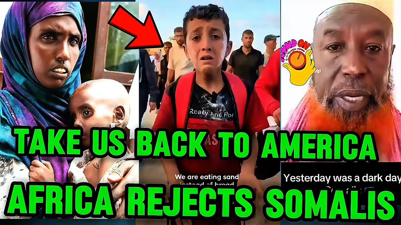 Сомалийцы разрыдались и стали умолять чернокожих о помощи после того, как им отказали в Африке — ...