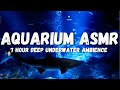 Underwater ambience, deep fish tank video asmr for long hours of Relaxing