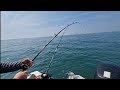 Multi species fishing on a raider 18 cuddy around thr south coast sea fishing uk