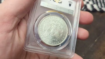 Weekend Mail Call With a Seller Shout Out! #coins #numismatics #silver #hobby #money