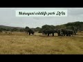 MAKUYUNI WILDLIFE PARK NI MBUGA NZURI SANA KWA KUTEMBELEA KUWAONA WANYAMA MAKUYUNI WILDLIFE PARK NI MBUGA NZURI SANA KWA KUTEMBELEA KUWAONA WANYAMA