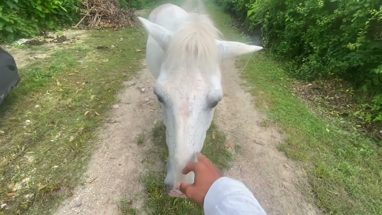 007 Holtun & La Blanca 【マヤ遺跡23】