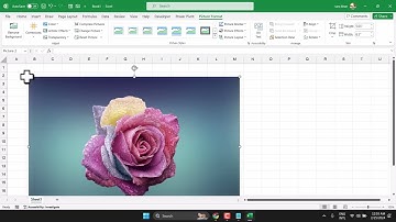 Remove background image and make it transparent in Excel |  create transparent image in Excel