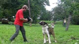 MVI_6733.AVI