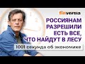 Россиянам разрешили есть все, что найдут в лесу. 1001 секунда об экономике #17 - 08.05.2021