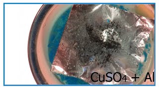 Différence entre CuSO4 (s) et CuSO4 (aq)
